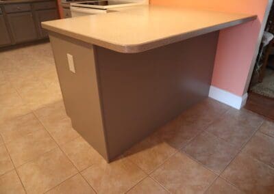 Kitchen Cabinet Painting